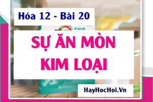 Sự ăn mòn kim loại, ăn mòn hóa học, ăn mòn điện hóa và cách bảo vệ kim loại không bị ăn mòn - hóa 12 bài 20